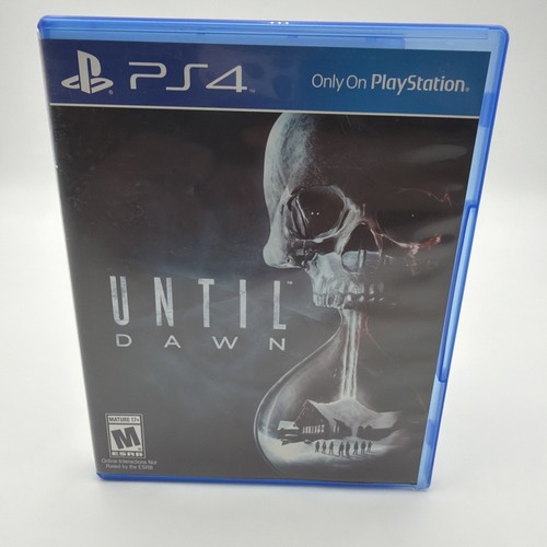 Sony playstation until - sony,