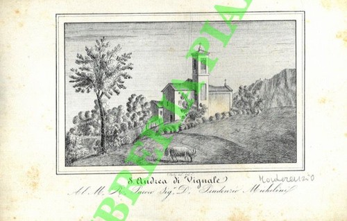 Bologna stampe corty - bologna,