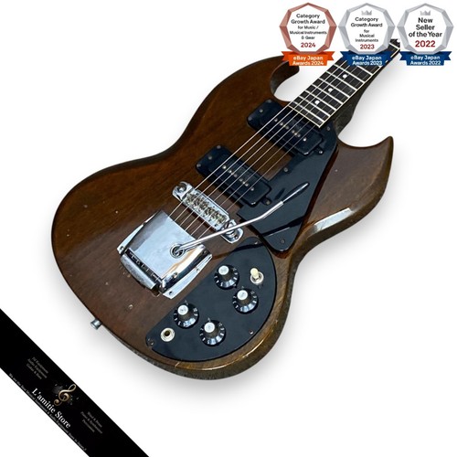 Gibson professional 1972 - professional,