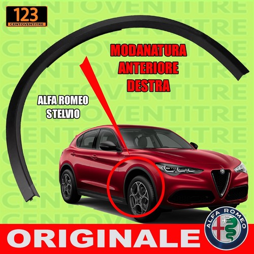 Modanatura parafango destro - parafango,