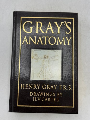 Gray anatomy henry - anatomy,
