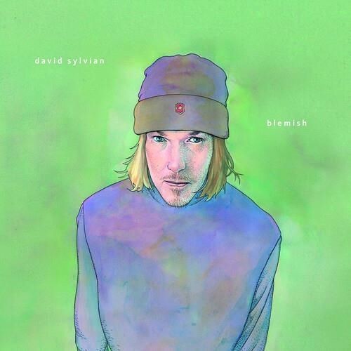 Vinile david sylvian blemish - david,