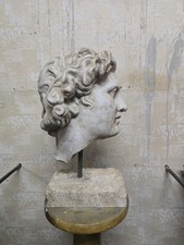 Testa Minerva in polvere di marmo e pietra