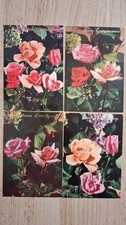Lotto 8 Cartoline Fiori Buon