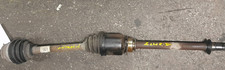 51934087 semialbero ant - semialbero,