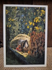 CARTOLINA BAMBINA MULO FORESTA