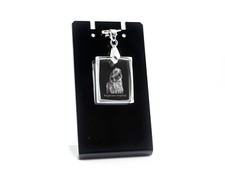 Cane da Pastore Bergamasco