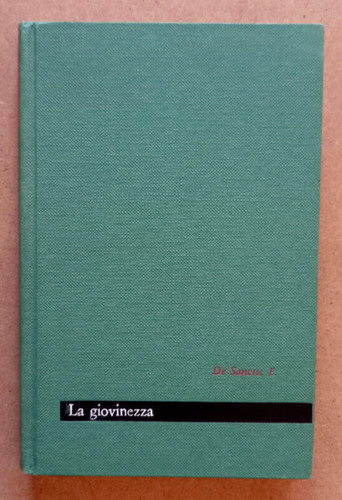 Libro saggio giovinezza - saggio,