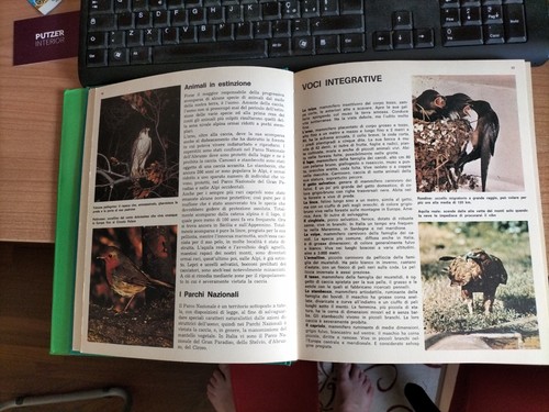 Grande enciclopedia delle - enciclopedia,