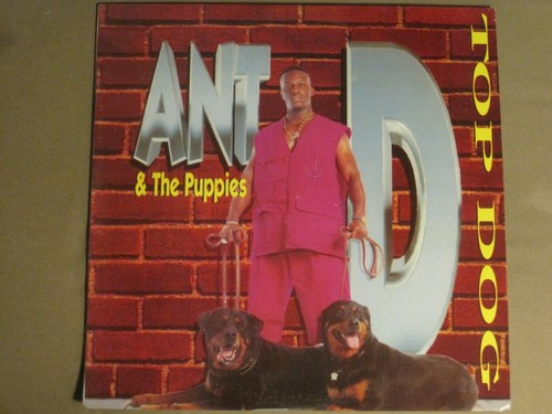 Ant the puppies - ant, d