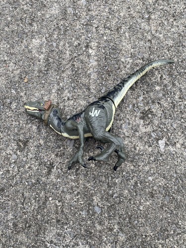 Jurassic world velociraptor - world,