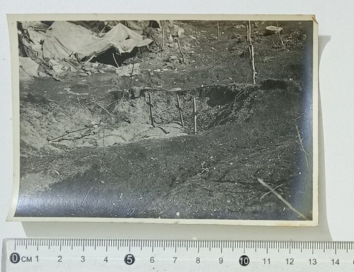 94581 824 foto - 94581, 1gm