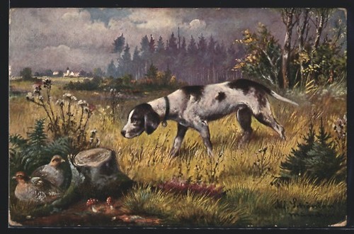 Cartolina artista alfred - cartolina, d'artista