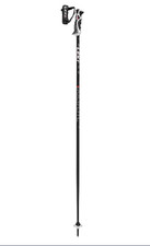 BOLD LITE S BASTONE LEKI