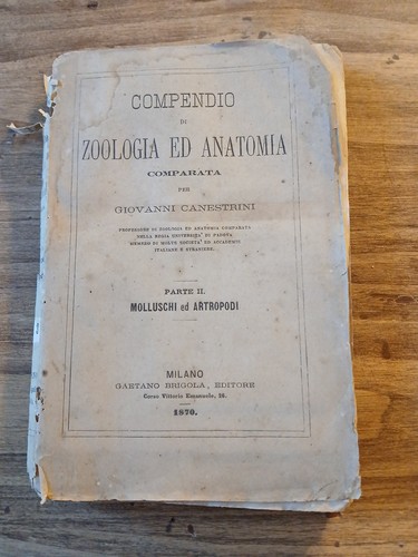 Canestrini compendio di - g.canestrini,