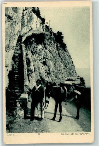 39418550 asino di - di, capri