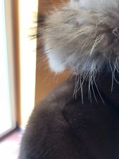 giubbotto in  pelliccia con dettagli in pelle