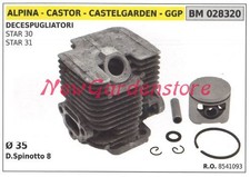 Cilindro pistone segmenti