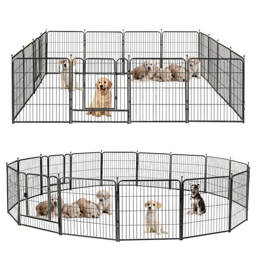 Box per cani - box,