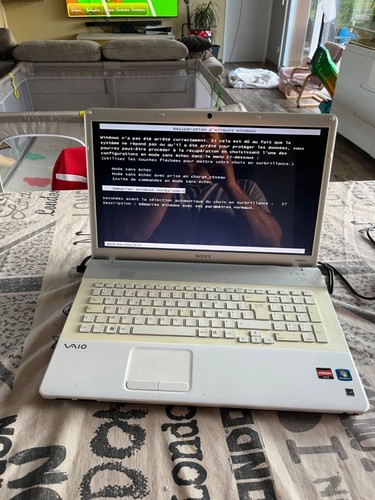 Sony vaio amd athlon - (a598),