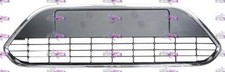 GRIGLIA PARAURTI ANTERIORE