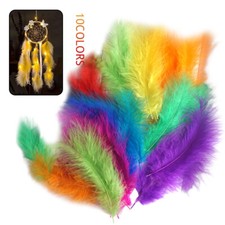 50 Piume Colorate Di Tacchino