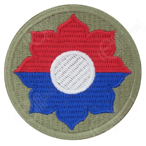 Fanteria divisione ww2 - 9,