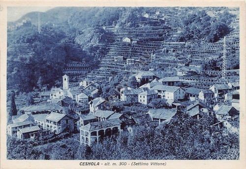 Cartolina postcard cesnola - postcard,