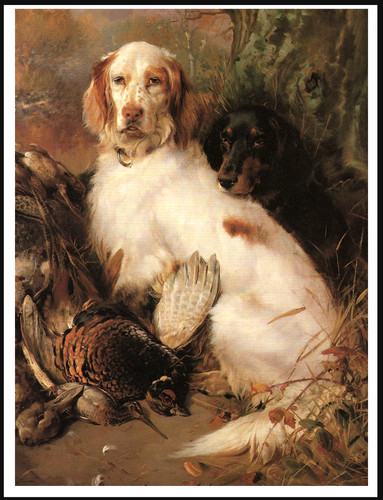 Poster stampa arte - poster, cane