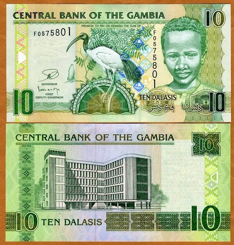 Gambia dalasis nd - 10, dalasis,
