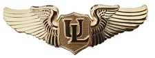 Brevetto pilota ULM spilla metallica dorata