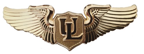 Brevetto pilota ulm spilla - brevetto,
