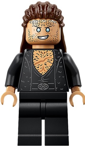 Lego minifigure harry - -,