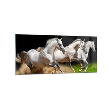 Quadro su Vetro 120x50cm