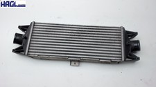 Ladeluftkühler 0621111047