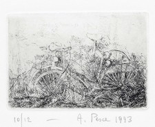 PESCE  ANTONIO " Biciclette ?"