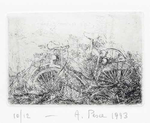 Pesce antonio biciclette - antonio, "