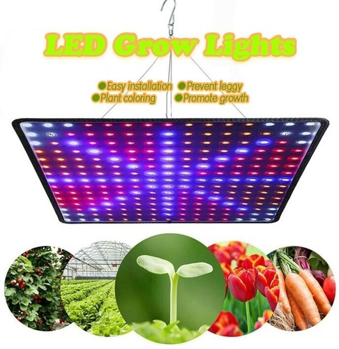 169 256 225 - 81/169/256/225, led