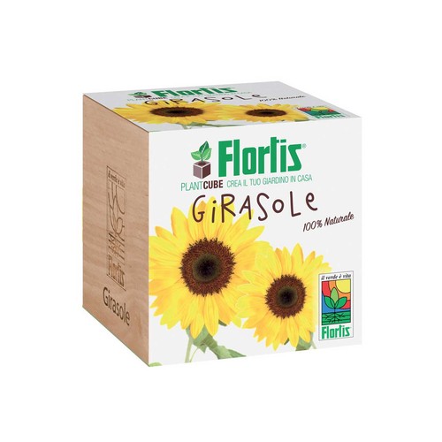 Flortis plantcube girasole - flortis,