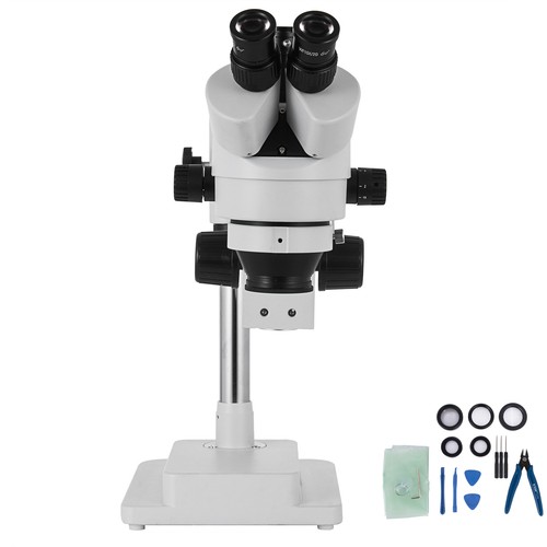 Microscopio stereo - microscopio,