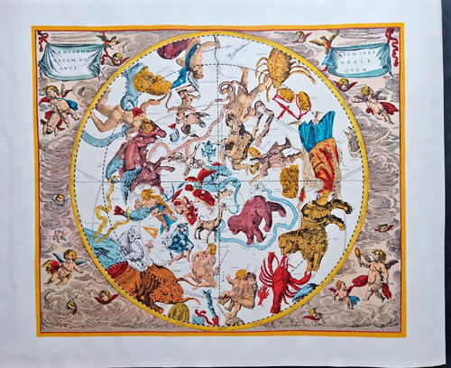Harmonia macrocosmica atlas - macrocosmica,