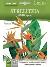 Semi strelitzia - semi,