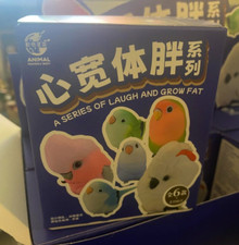 Modellino LAUGH AND GROW FAT Pappagallo Bird Series di Animal Heavenly Body BLIND BOX