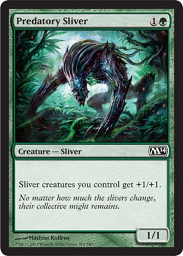 Mrm english predatory sliver - *mrm*,