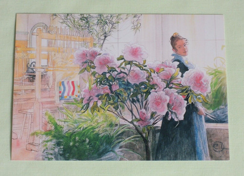 Cartoline carl larsson - cartoline,