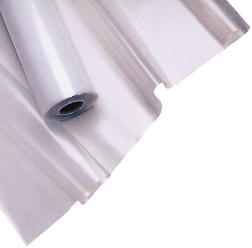 Fitt foglia neutra cellophane - foglia,