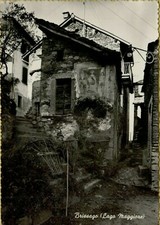 161475 SVIZZERA CANTON TICINO BRISSAGO E TIMBRO ROSALBA PELLANDA NEGOZIO 