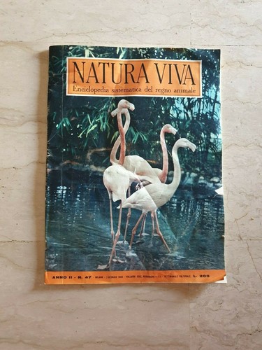 Natura viva enciclopedia