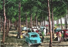 do638 cartolina saluti da mondragone,pineta del gariglianoprovincia di caserta