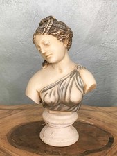 Busto statua in polvere di